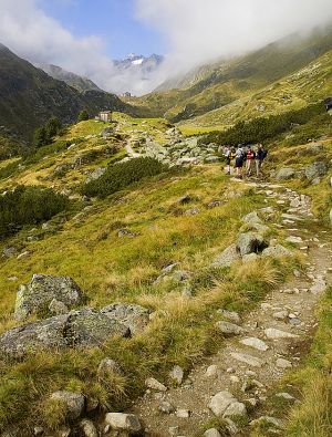 Path to Franz Senn hut.jpg